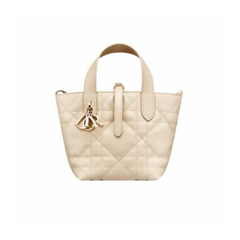 DIOR Toujours 直立式奈米手提包 M51U