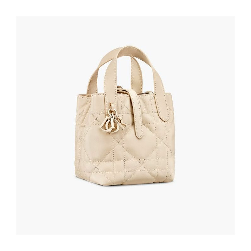 DIOR Toujours 直立式奈米手提包 M51U-2