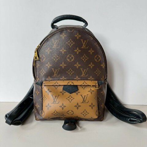 絕版 LV Palm Springs PM 焦糖 拼色 後背包 M43116 (M44870)