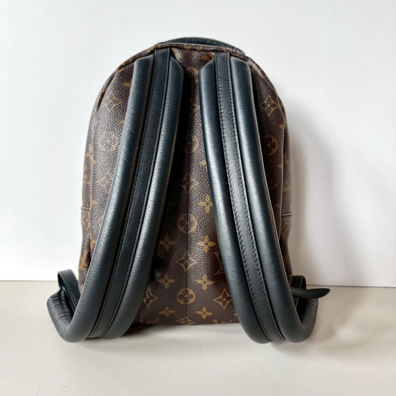 絕版 LV Palm Springs PM 焦糖 拼色 後背包 M43116 (M44870)-1