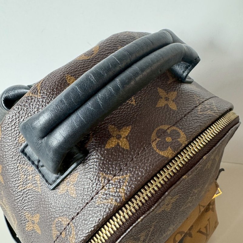 絕版 LV Palm Springs PM 焦糖 拼色 後背包 M43116 (M44870)-5