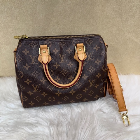 LV Speedy25 老花波士頓包 晶片款