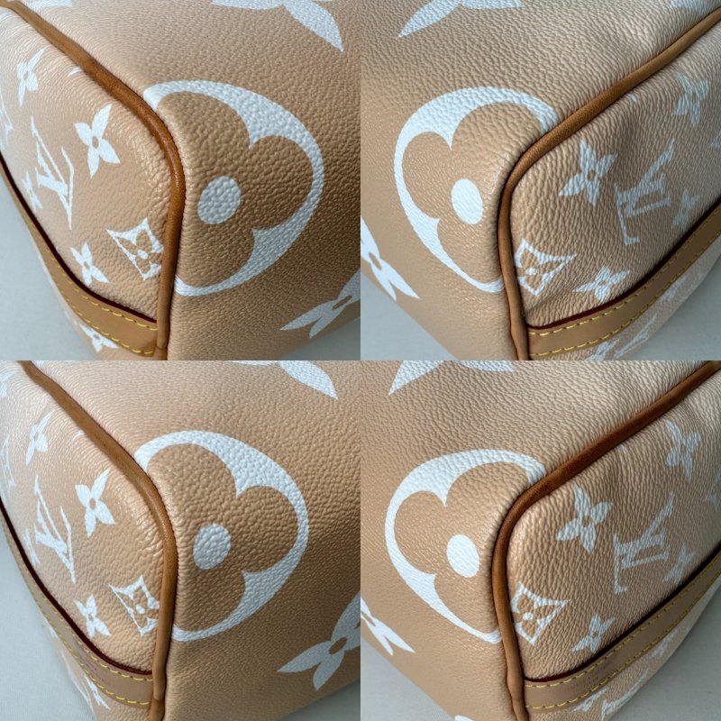 LV 珊瑚沙漸層色Speedy 25-9