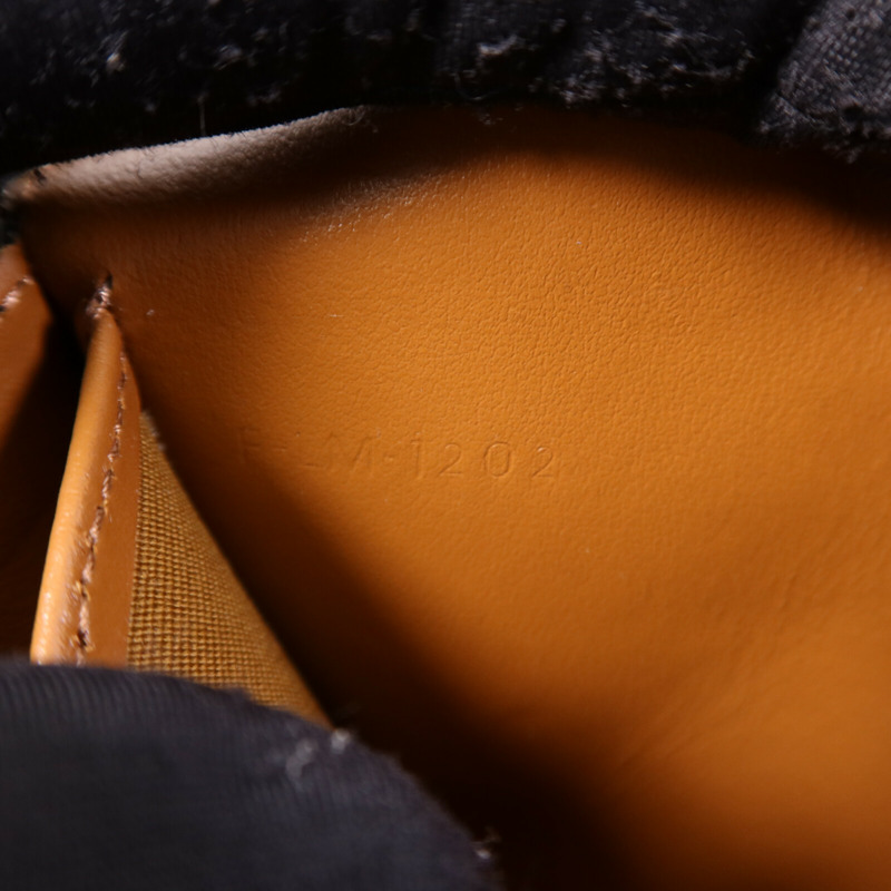 CELINE 塗層帆布Triomphe Wallet On Strap金扣肩背袋-6