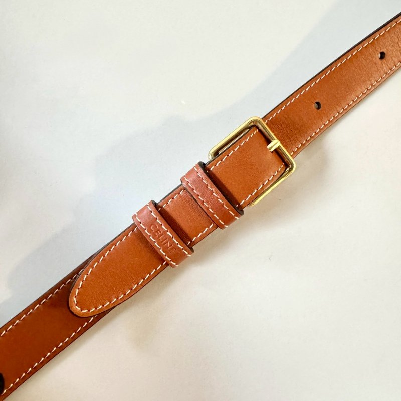 CELINE TRIOMPHE PVC 防水 斜背包 老花 焦糖 多格層 凱旋門 22cm-10