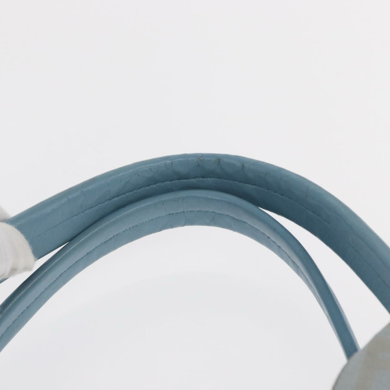 【日本直送】FENDI Zucca帆布手提包 淺藍色 金色 正品 151194V-7