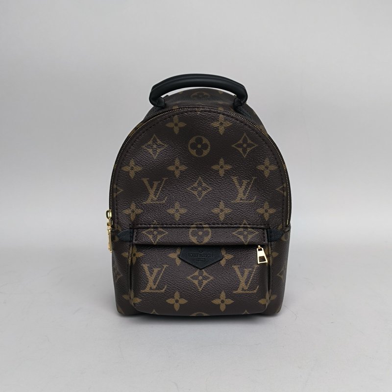 LOUIS VUITTON PalmSprings小書包Mini17新款拉鏈外露老花PVC晶片肩背包-0
