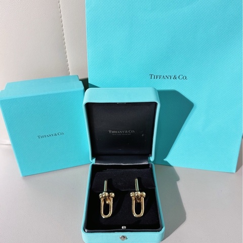 Tiffany蒂芙尼 hardwear系列 18K金特大号链环耳环
