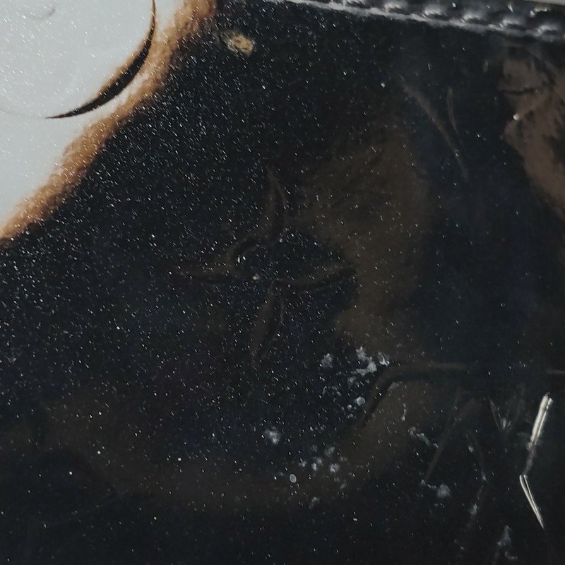 Louis Vuitton(LV)Spring Street牛皮漆皮老花壓紋S-lock鎖扣斜挎包單肩包-14