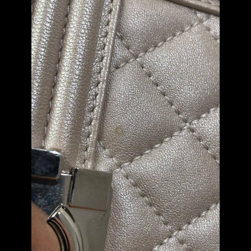 Chanel  Leboy 20cm 小號 珠光色粉 銀扣-23
