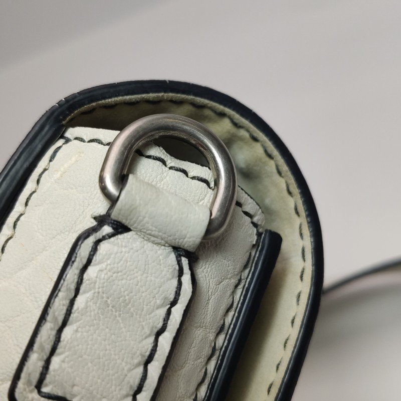 Dior Dio(r)evolution羊皮字母logo斜挎包單肩包-14