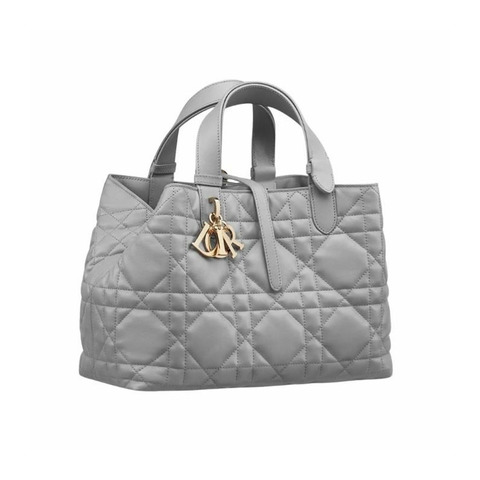 DIOR Toujours 中型包 M2821OSNW_M62G