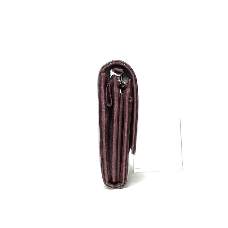 DIOR 車厘子紅漆皮銀扣2010錢包長款woc肩背包-3