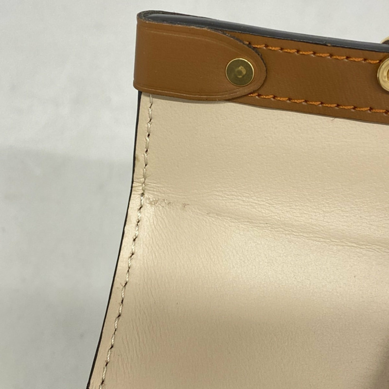 路易威登 Catgram Essential Trunk M63892 棕色女士包 P1888607-5