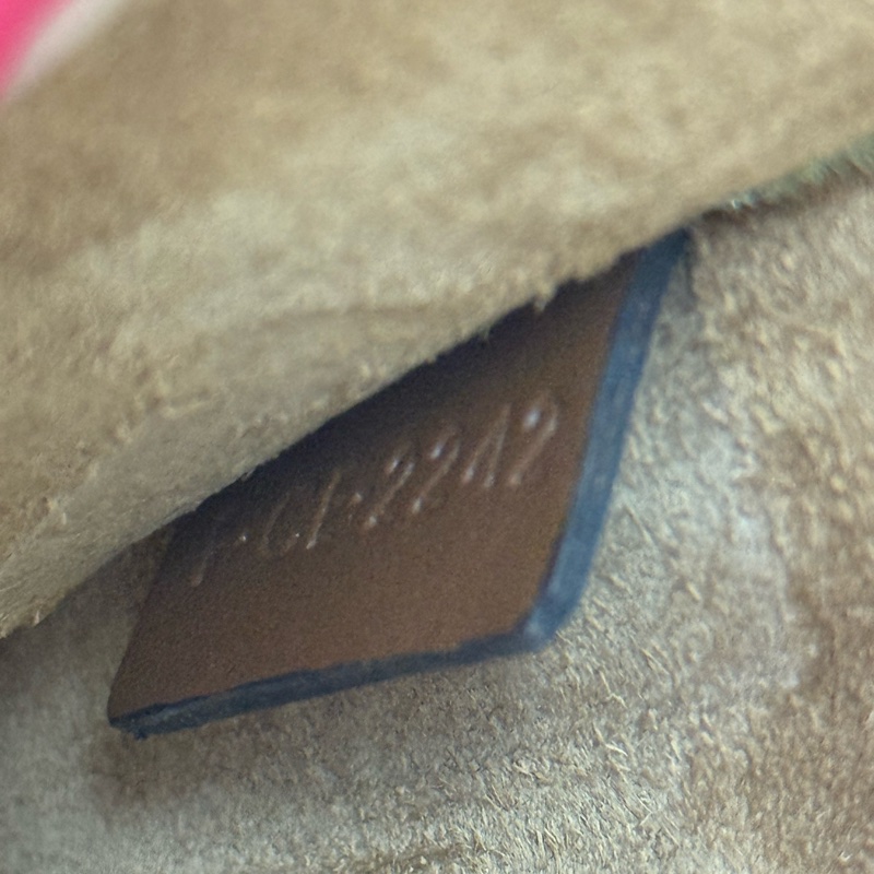 Celine Triomphe Shoulder Bag-9