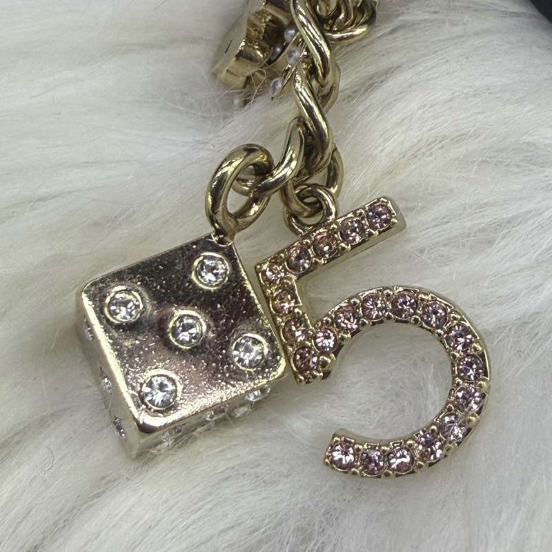 Chanel Charm  Clutch-17