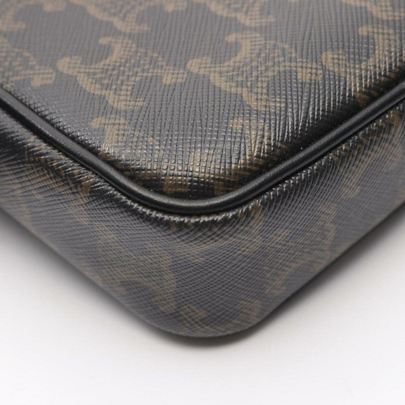 CELINE Triomphe 中斜背包 194502 帆布皮革 BK-5