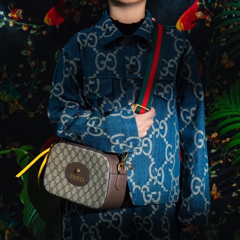 🈶台灣購證 #近新閒置 #全網最低 Gucci Ophidia虎頭相機包