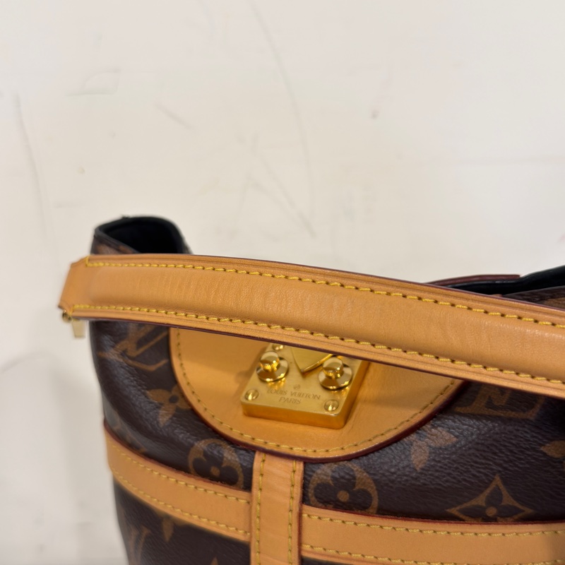 #全網最低💰 #年底甩貨隨便賣 Lv老花薯條包🉑斜挎🈶長肩帶-9