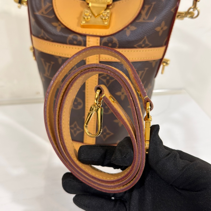 #全網最低💰 #年底甩貨隨便賣 Lv老花薯條包🉑斜挎🈶長肩帶-12