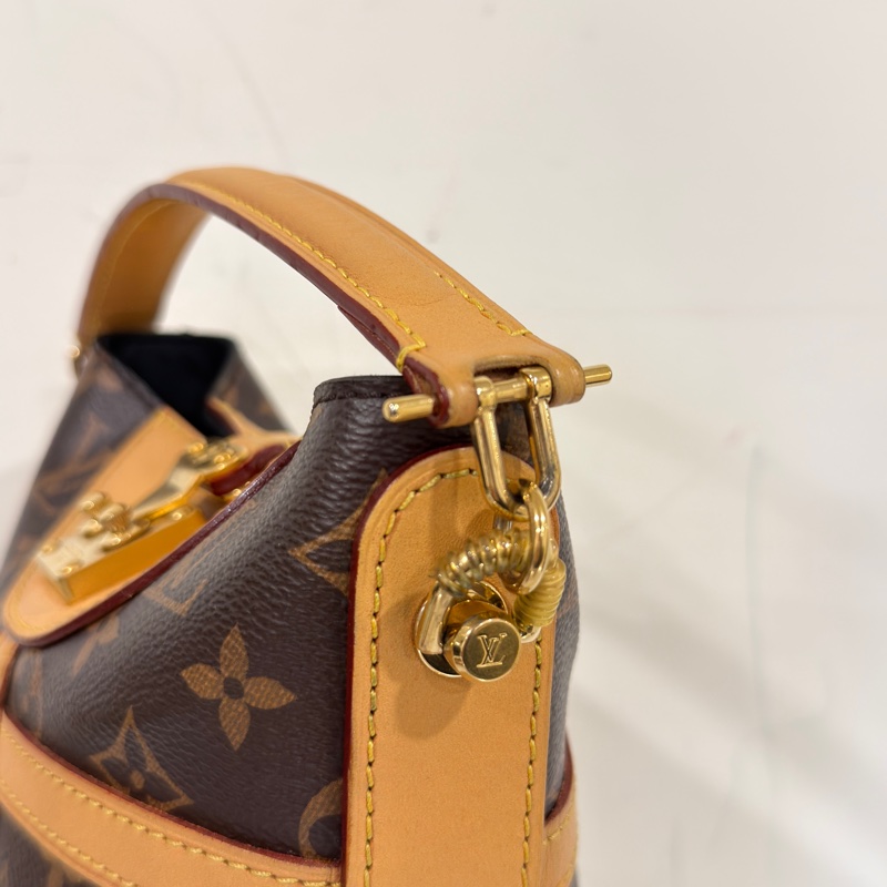 #全網最低💰 #年底甩貨隨便賣 Lv老花薯條包🉑斜挎🈶長肩帶-13