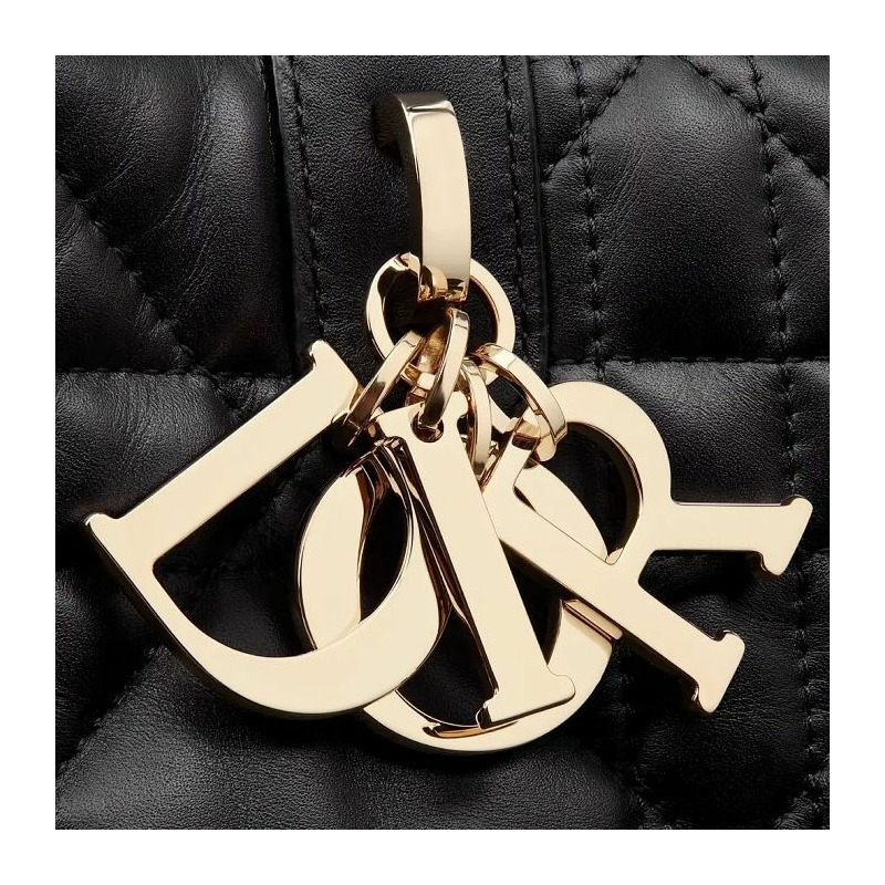 DIOR Always 大號包 M2820OSHJ_M900-7