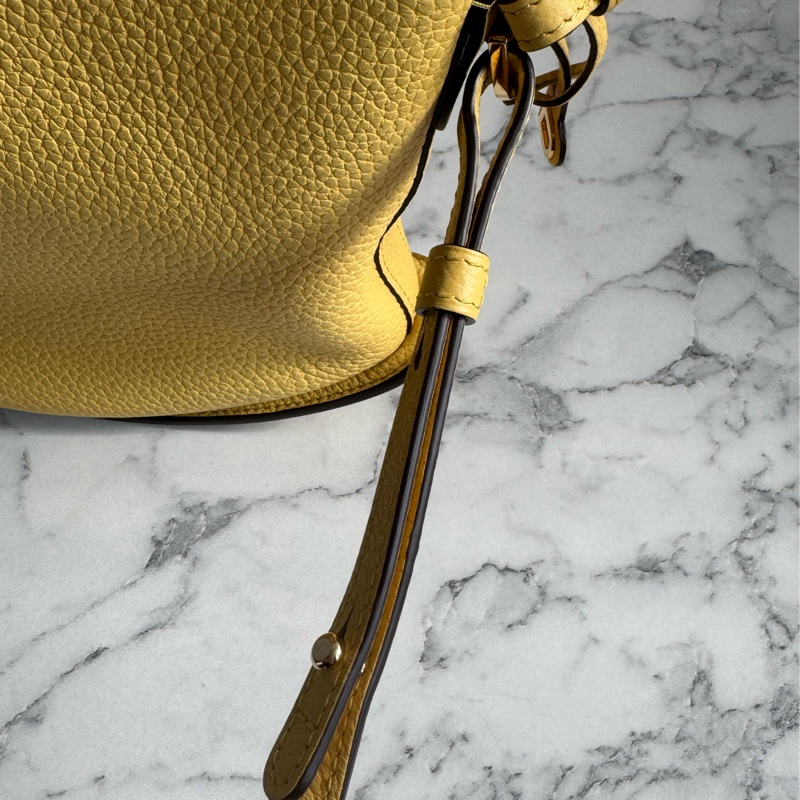 Delvaux黃皮革大D手提兩用包-28