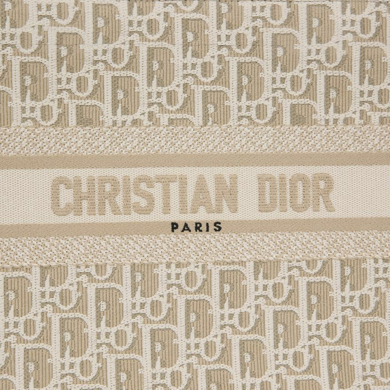 DIOR 斜背小號手提包-6