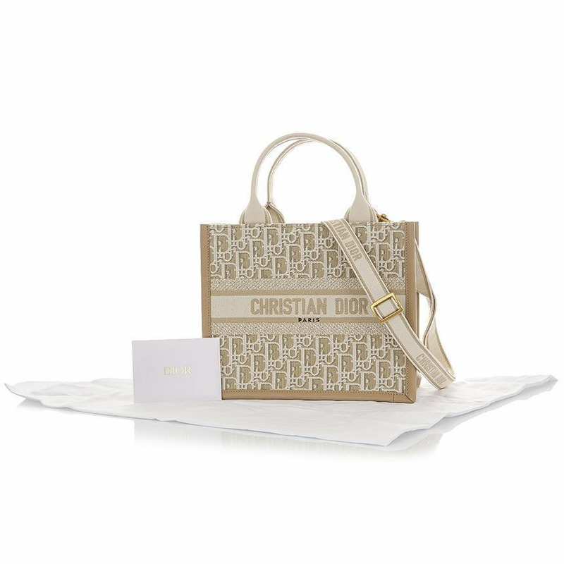 DIOR 斜背小號手提包-10