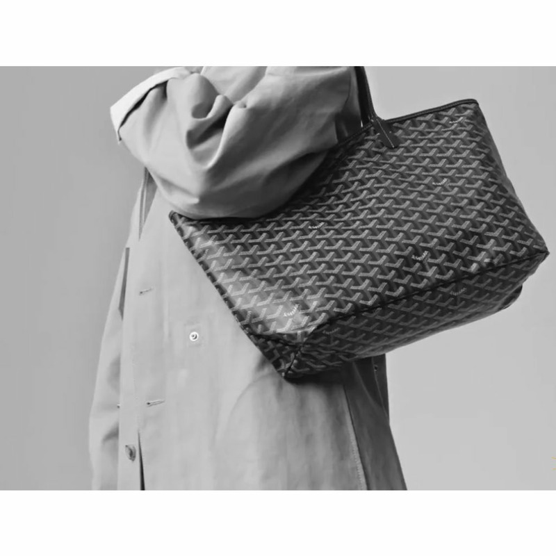 GOYARD 聖路易 PM 包 STLOUIPMLTY33CL33P-5