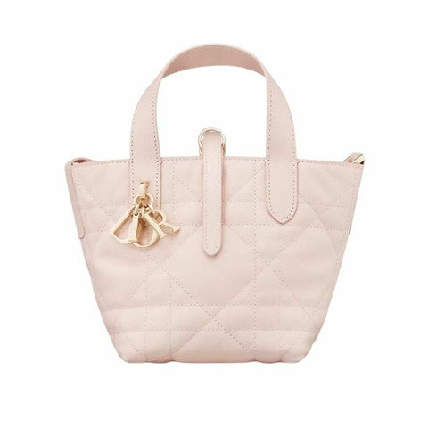 DIOR 豎款奈米手提袋 M413