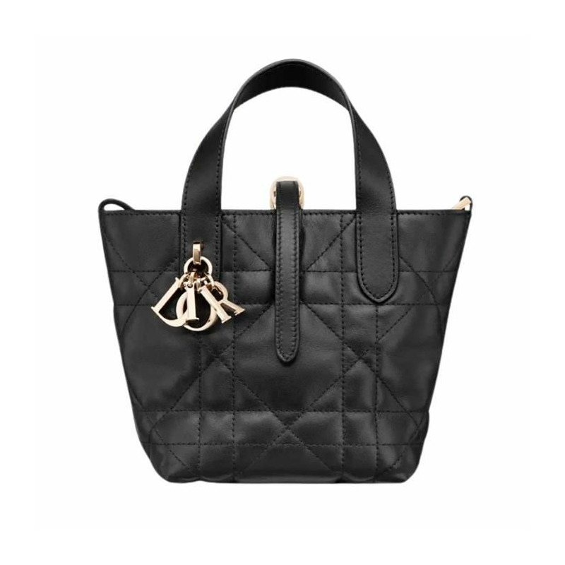 DIOR Toujours 直立式奈米手提包 M900-0