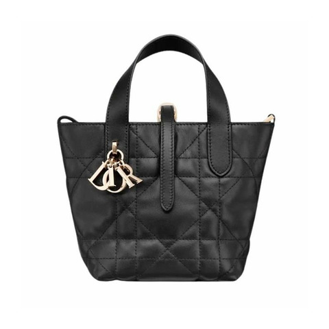 DIOR Toujours 直立式奈米手提包 M900