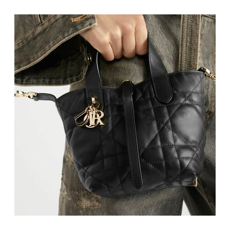 DIOR Toujours 直立式奈米手提包 M900-9