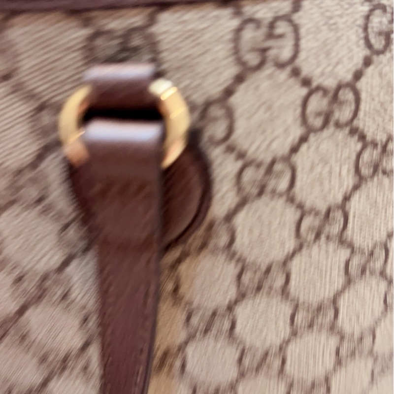 Gucci中號雙提把拖特包-6