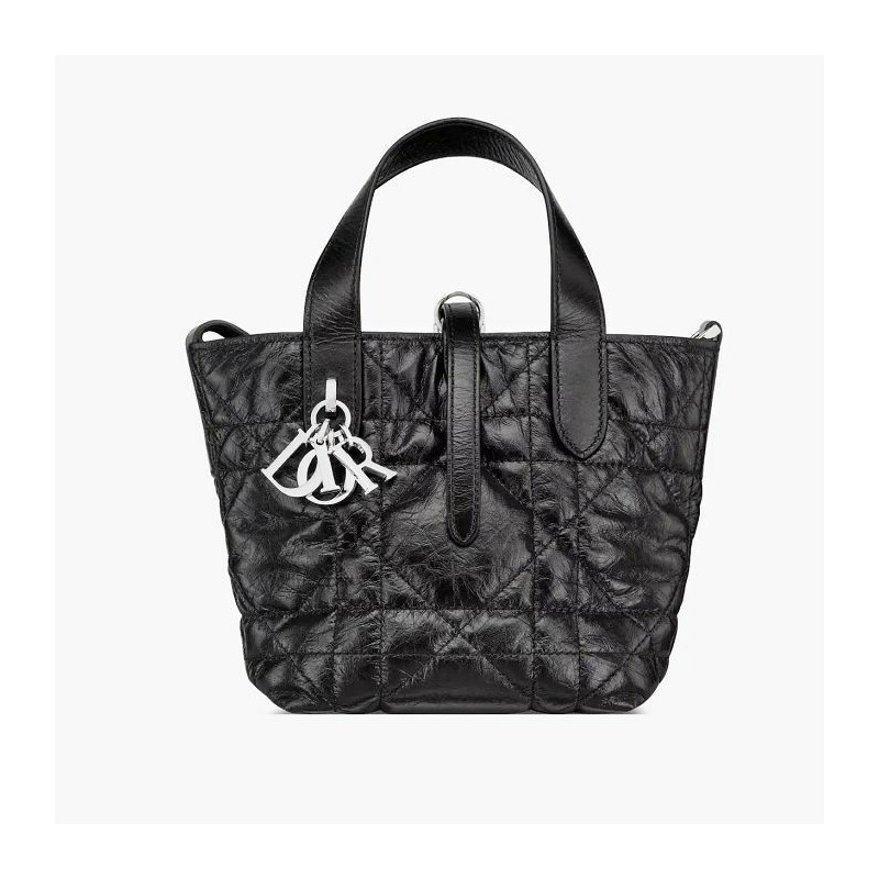 DIOR Always Vertical Nano 手提包 M900-3