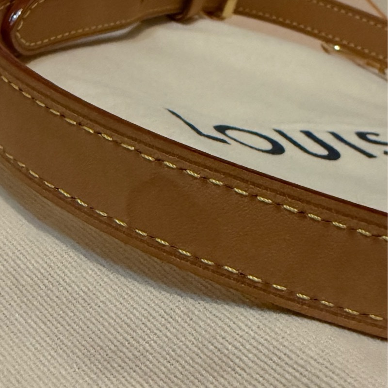 LV Speedy Bandoulière 25 （斜背+手提兩用）（芯片新款）-10