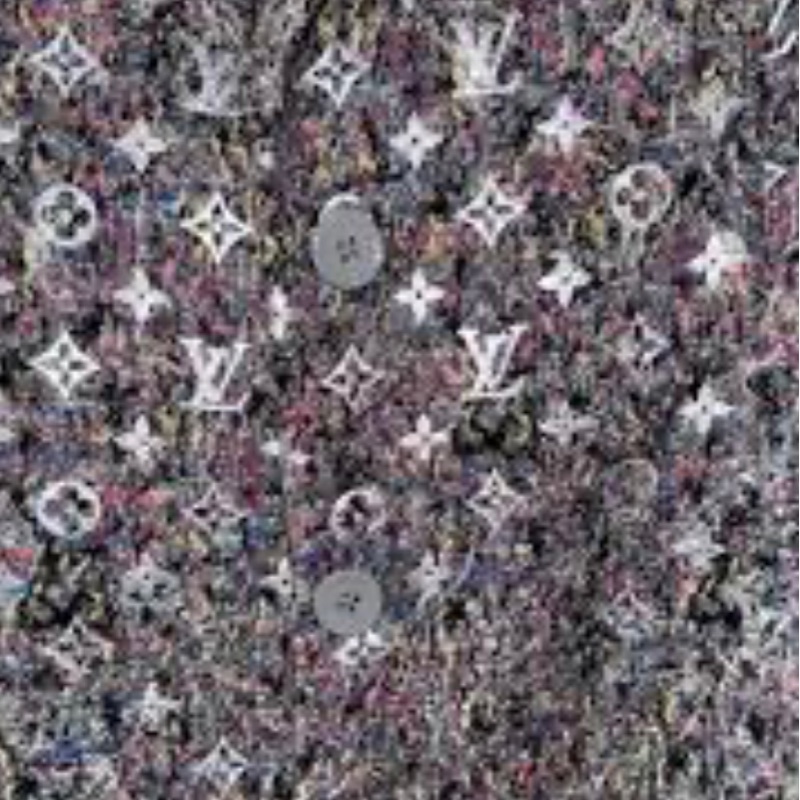 Louis Vuitton大褸-2