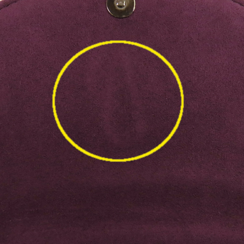 LOUIS VUITTON Epi Saint Cloud金扣肩背袋-14