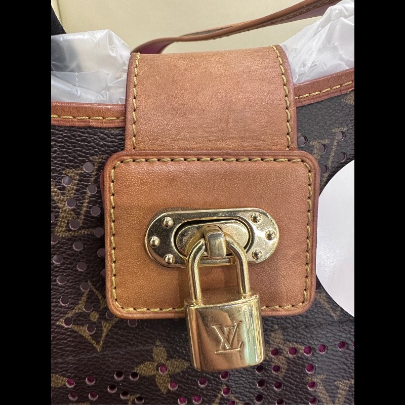 LV稀有鏤空老花伊芙琳斜挎包 肩帶可調節-18