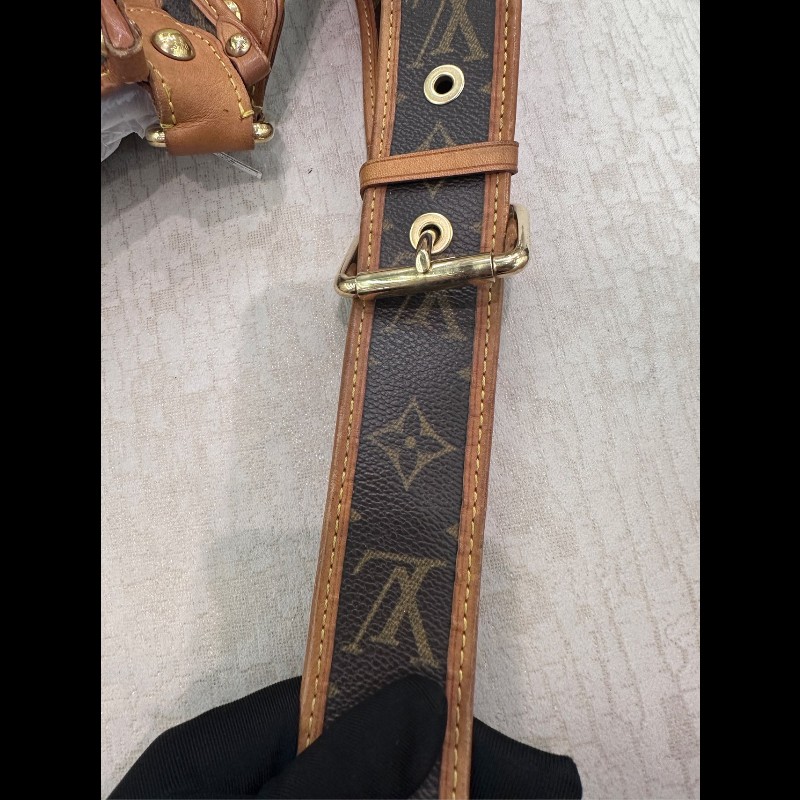 LV稀有鏤空老花伊芙琳斜挎包 肩帶可調節-22