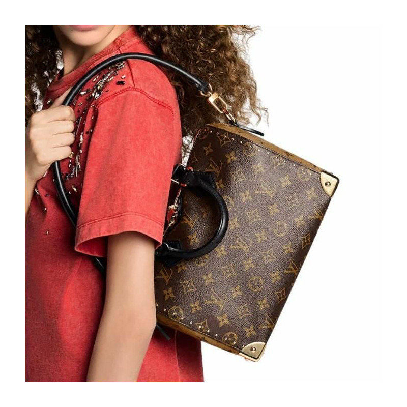 LOUIS VUITTON Speedy Trunk 25 M26181-14