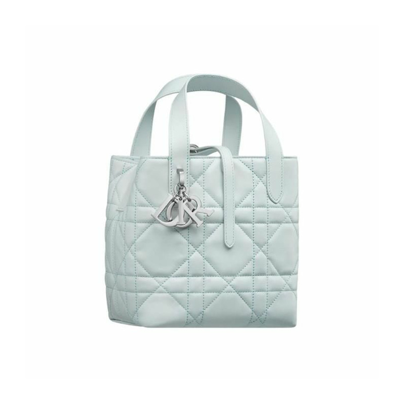 DIOR Always Small 直式手提包 M2835PSNW_M00Z-6