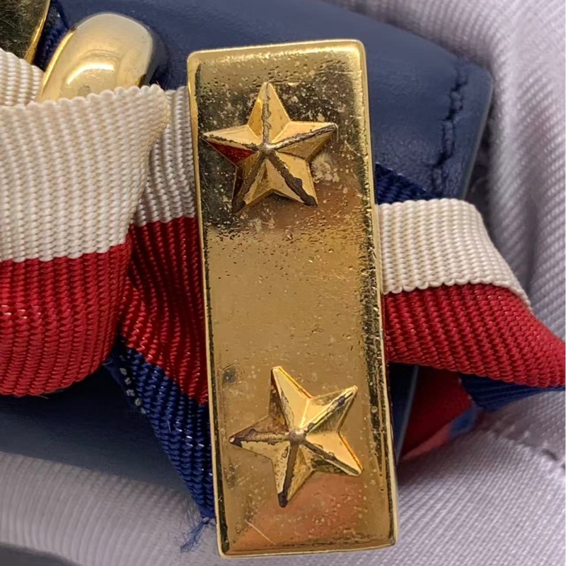 二手Gucci古馳 sylvie中號藍色絲帶塞爾維亞-9