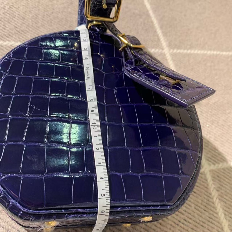 路易威登 Lv圓餅深藍色鰐魚皮金扣手提單肩包-12