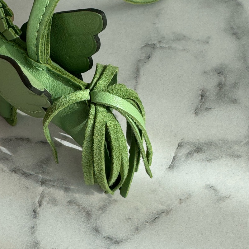 Hermes氣泡綠小飛馬 超可愛😻😻-5