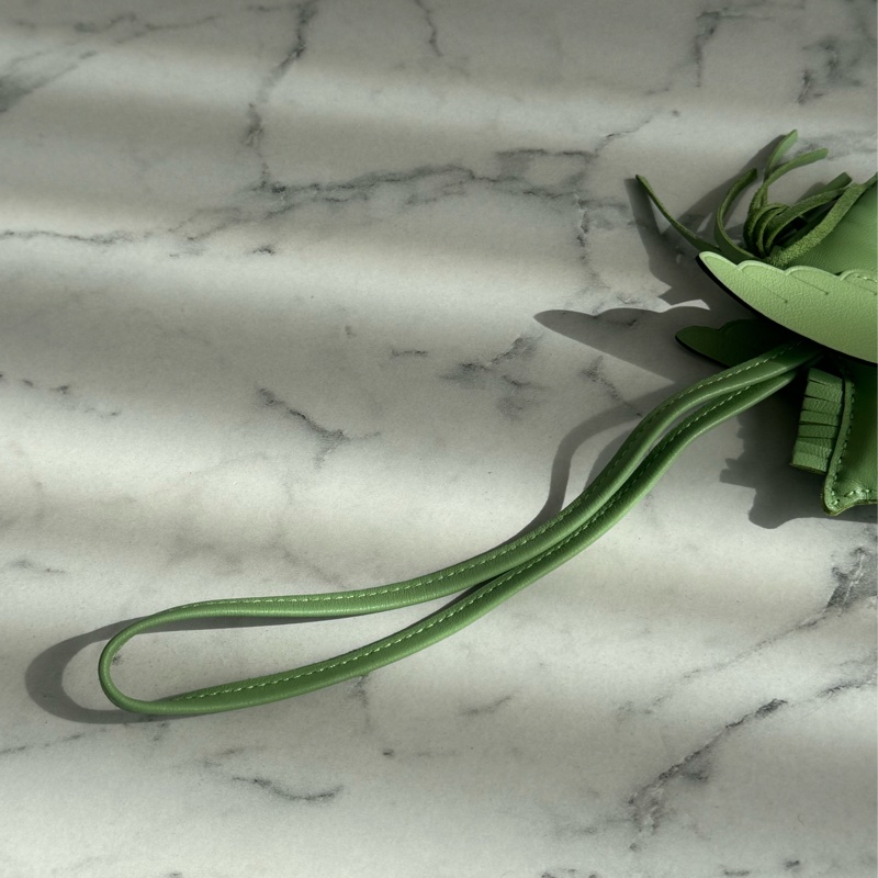 Hermes氣泡綠小飛馬 超可愛😻😻-14