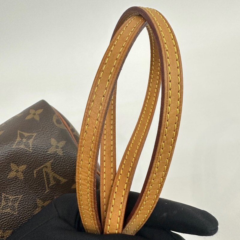 Louis Vuitton 老花speedy nano-15