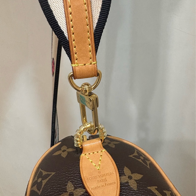 LOUIS VUITTON 經典款 SPEEDY  NANO  NEO20-8