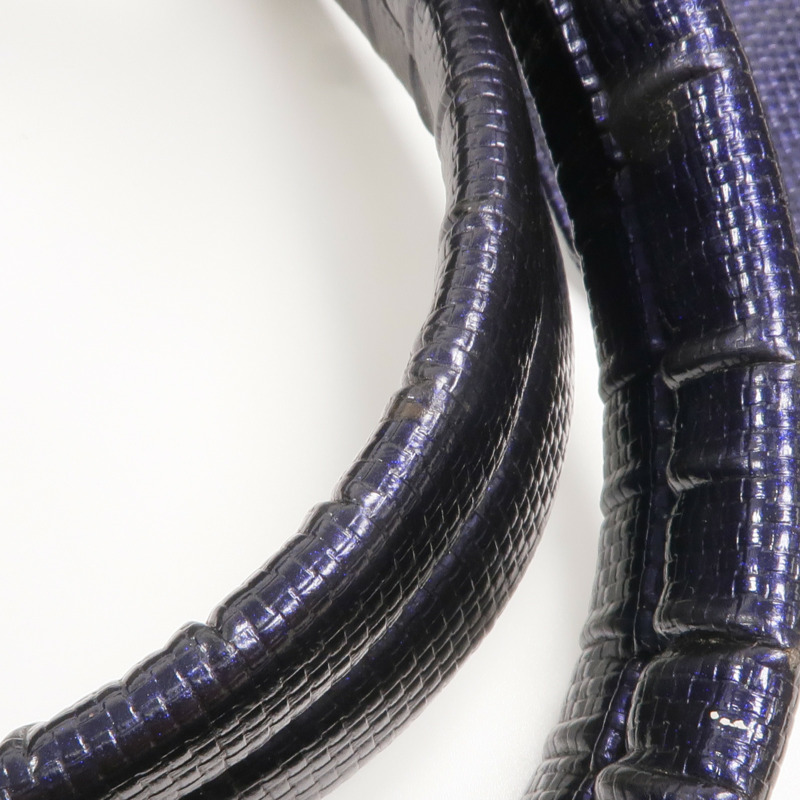 CHANEL 塗層帆布Paris Biarritz Tote Bag銀扣手挽袋-23